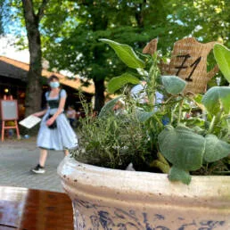 Gasthof Alter Wirt — photo 37