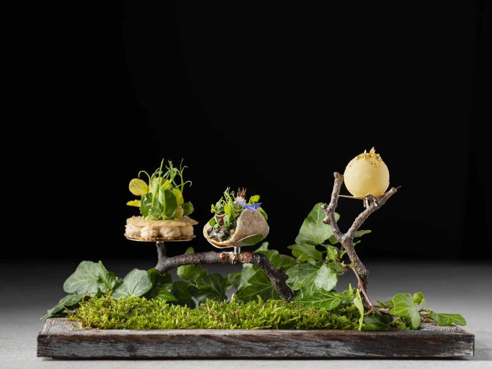 Platán Gourmet — photo 10