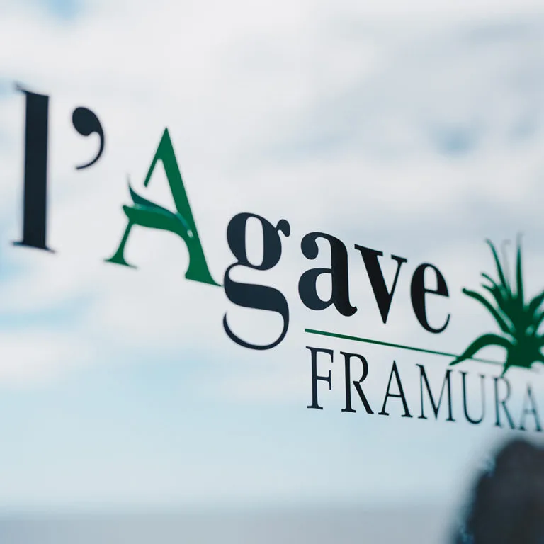 L'Agave — photo 6