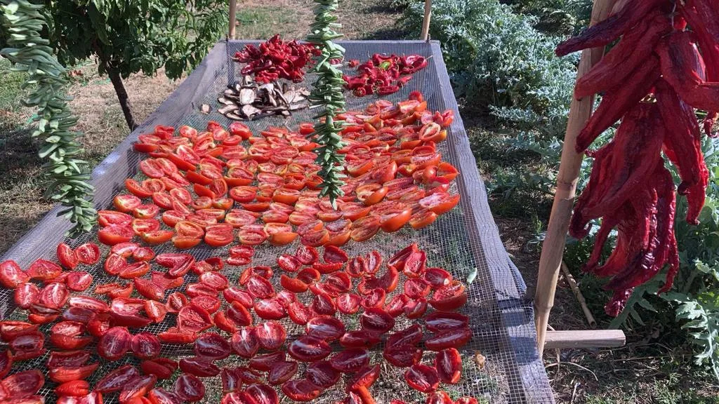 La Cantina de Diego — photo 15