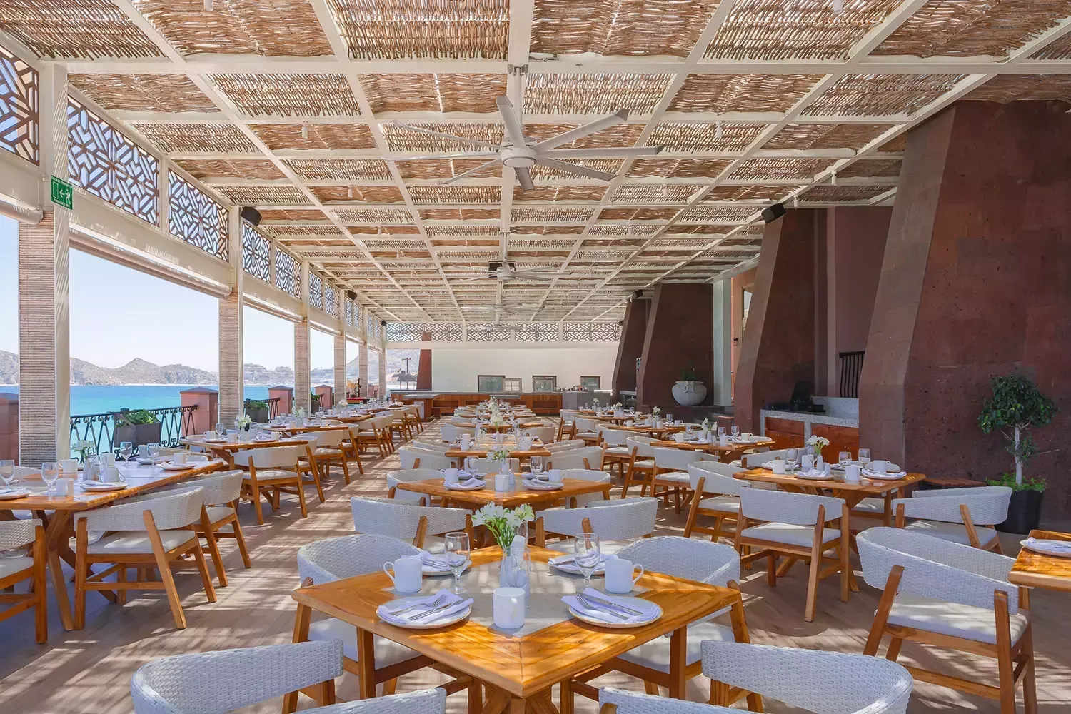 El Patrón — photo 14