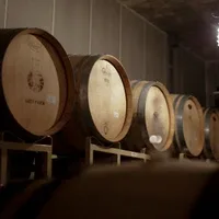 Sanosushi — drink