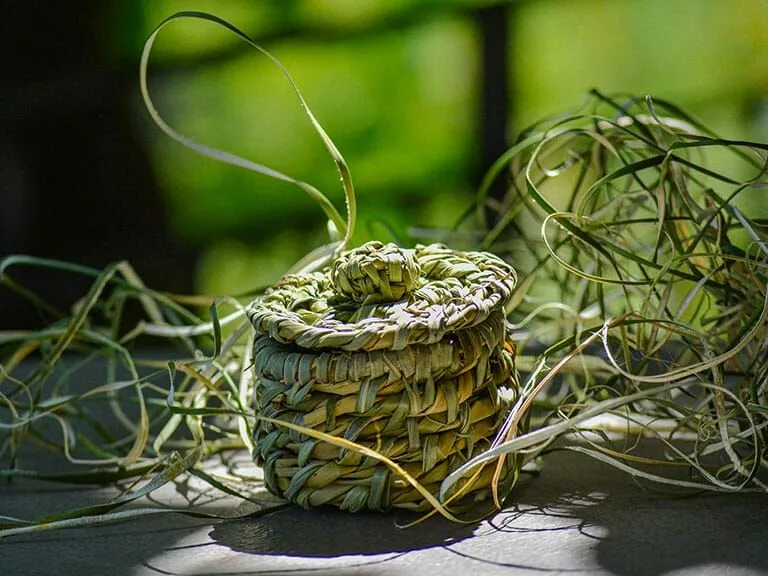 Jardin Secret — photo 9