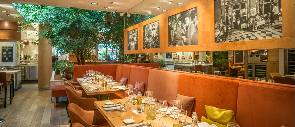 Martino Kitchen — photo 7