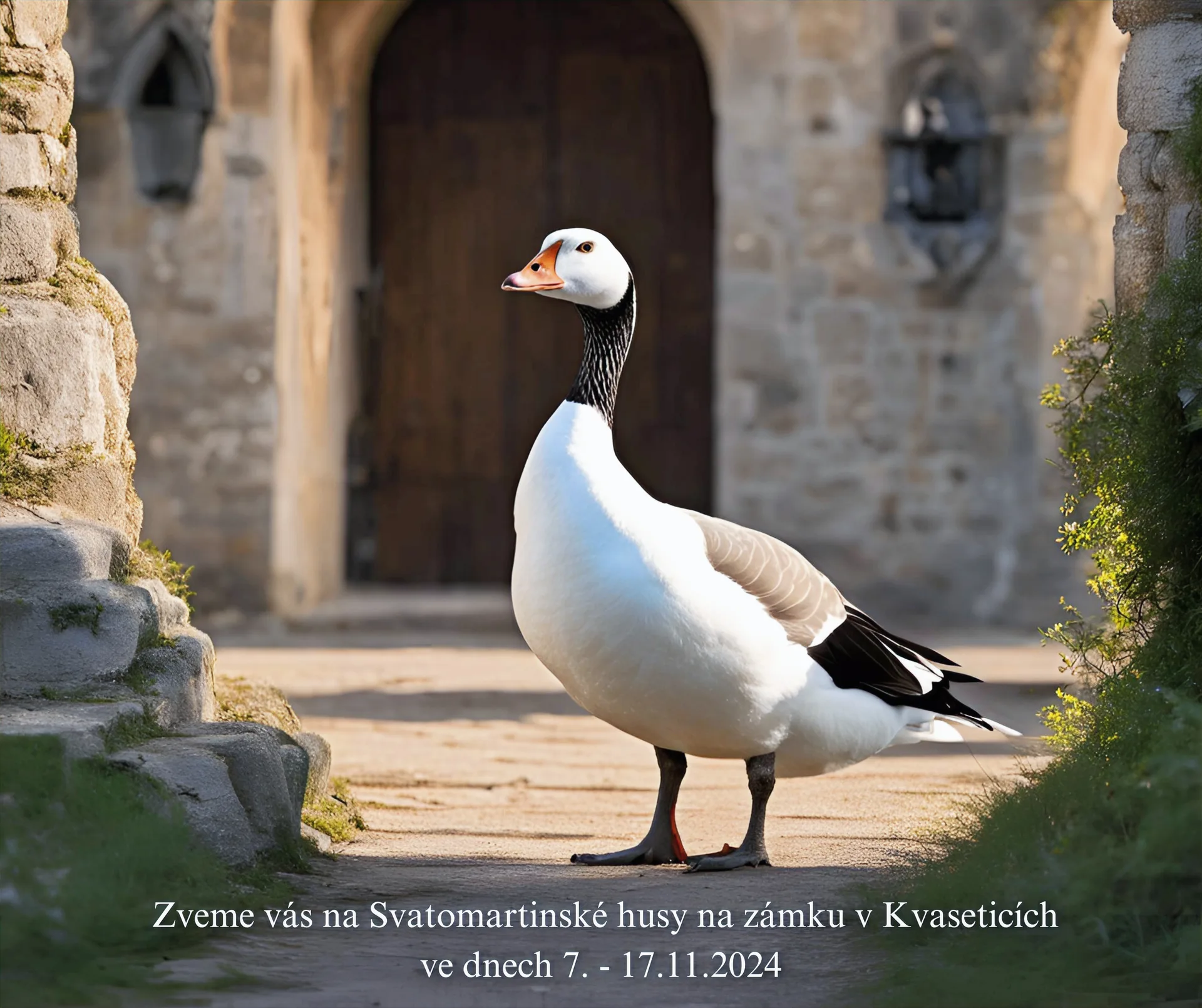 Zámek Kvasetice — photo 9