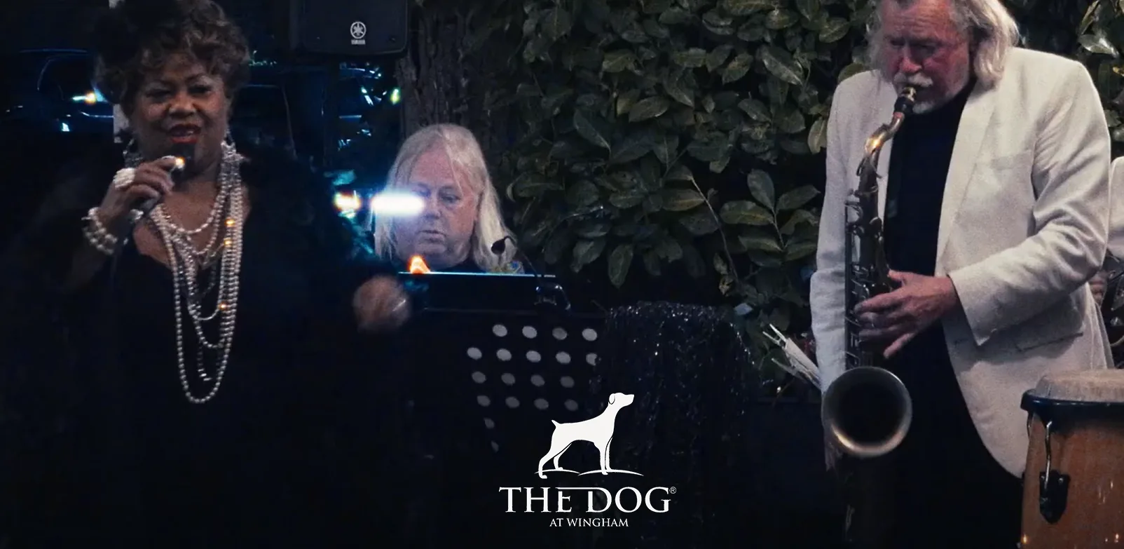 The Dog at Wingham — photo 54