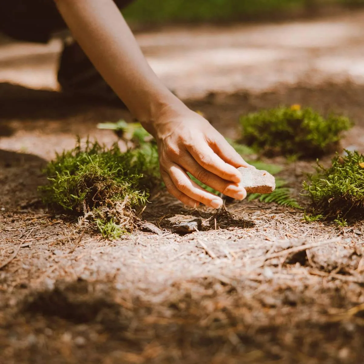 Naturparkhotel Adler — photo 28