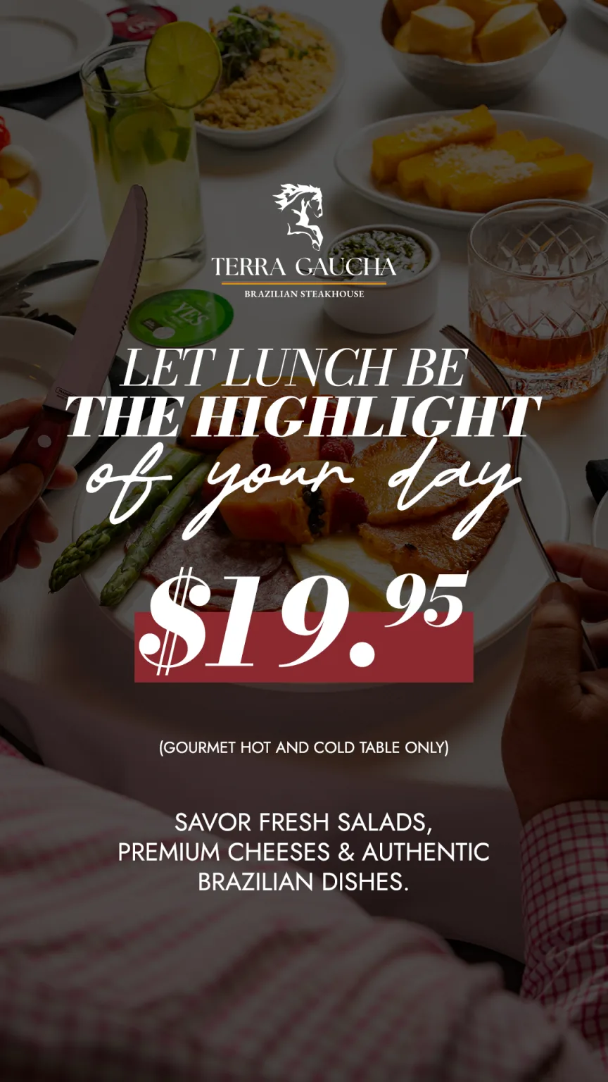 Terra Gaucha Brazilian Steakhouse — photo 17