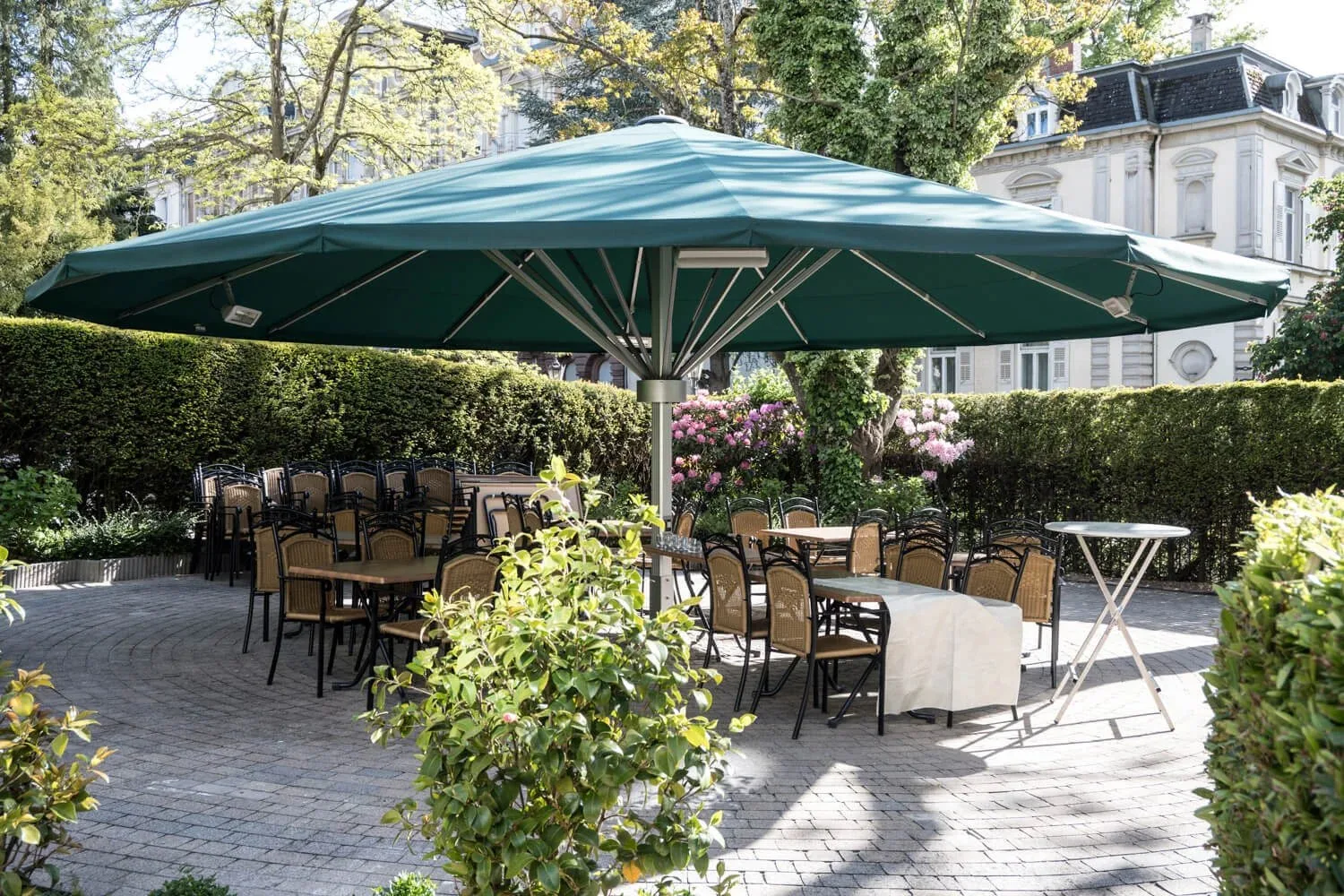 Schneider’s Weinstube im Badener Weinkeller — photo 36