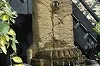 The Nest — photo 20