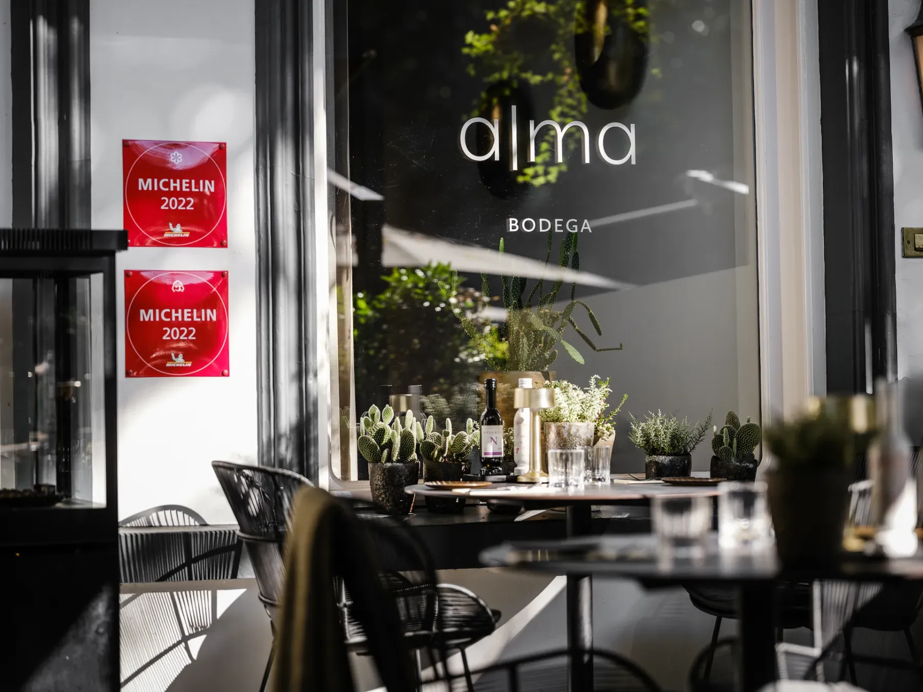 Alma — photo 13