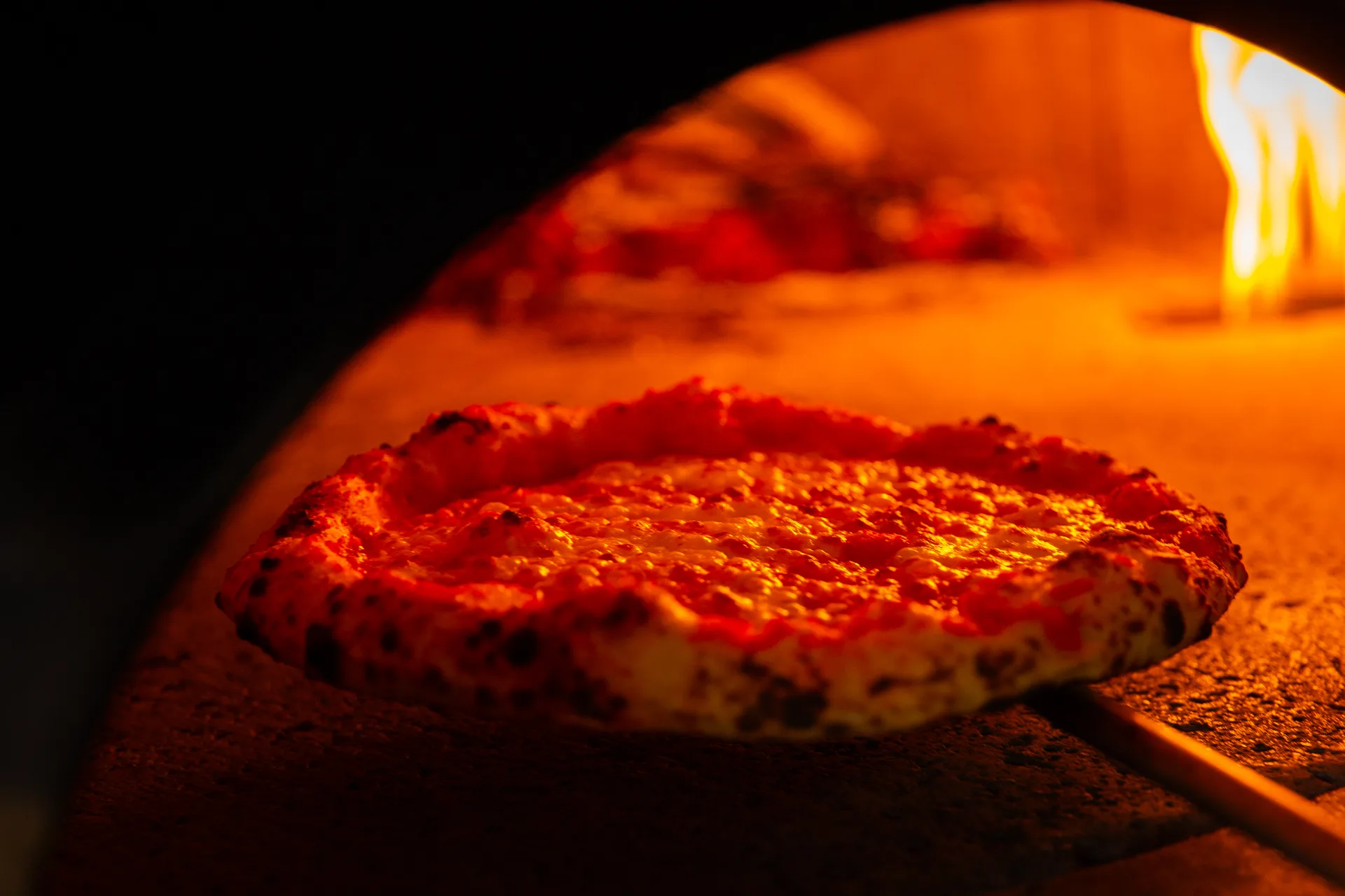 Pizza Massilia — photo 84