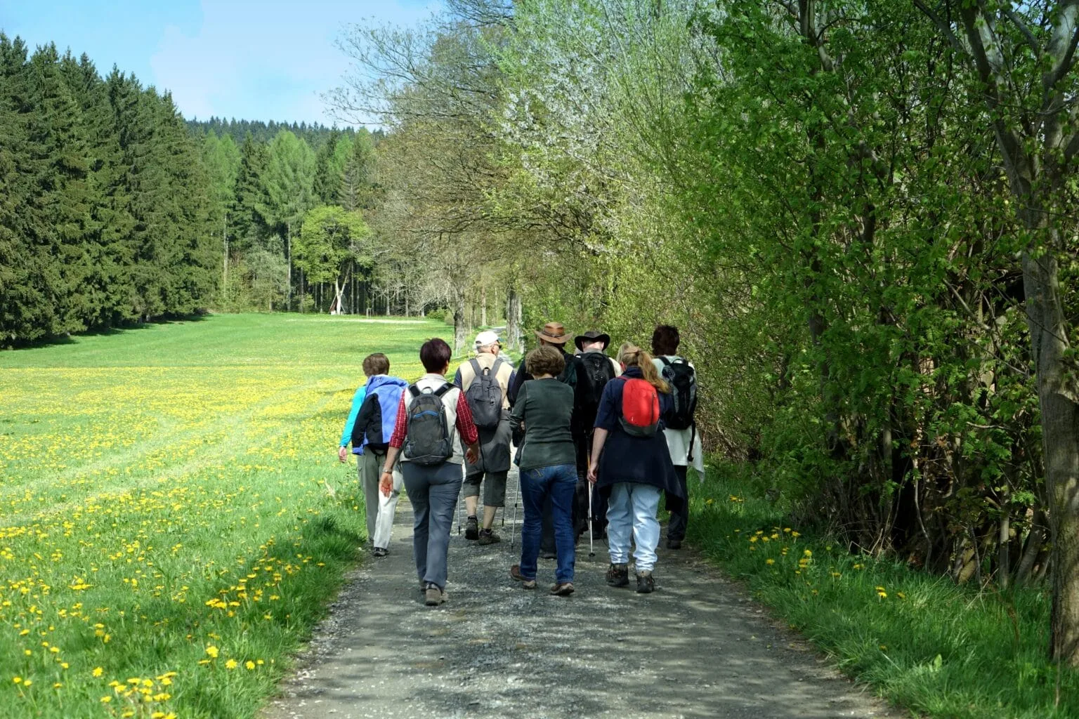 Landgasthaus Maien — photo 21