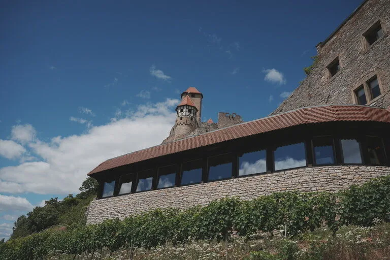 Restaurant Burg Hornberg — photo 48