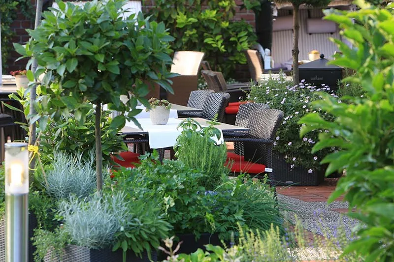 Restaurant Mutter Althoff — photo 16