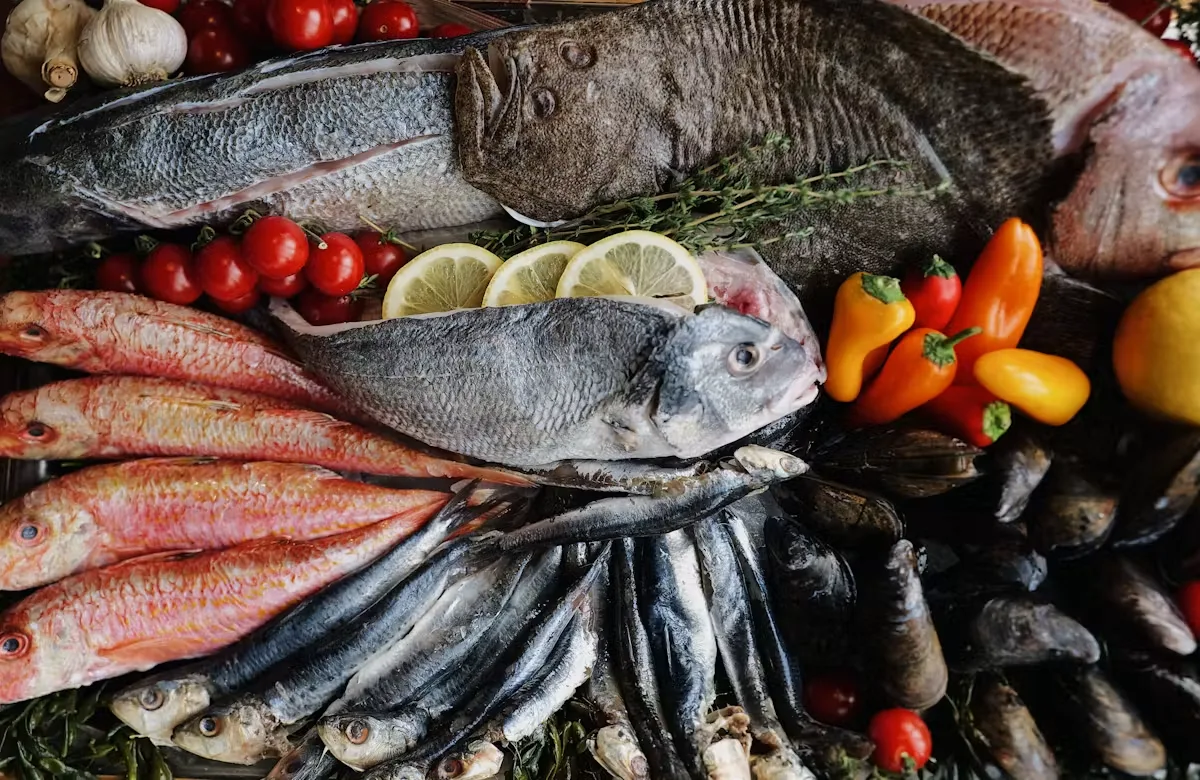 Andros Taverna — photo 4