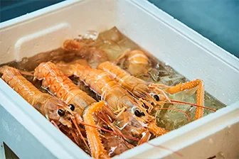 Plaiga TOKYO — food