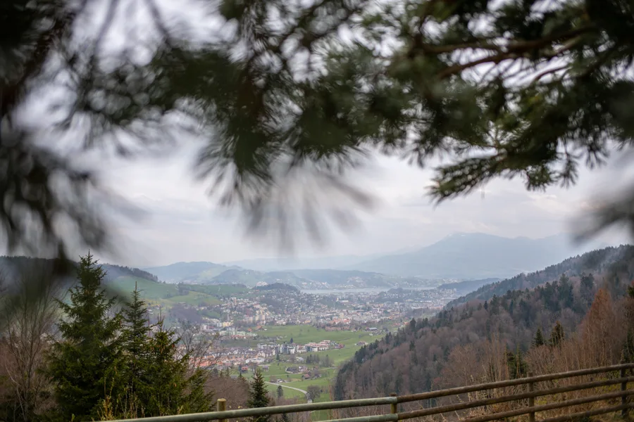 Hotel Gasthaus Hergiswald — photo 19