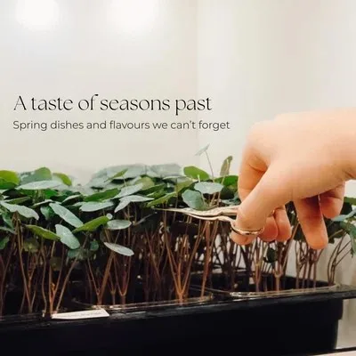 The Tasting Room — kitchen