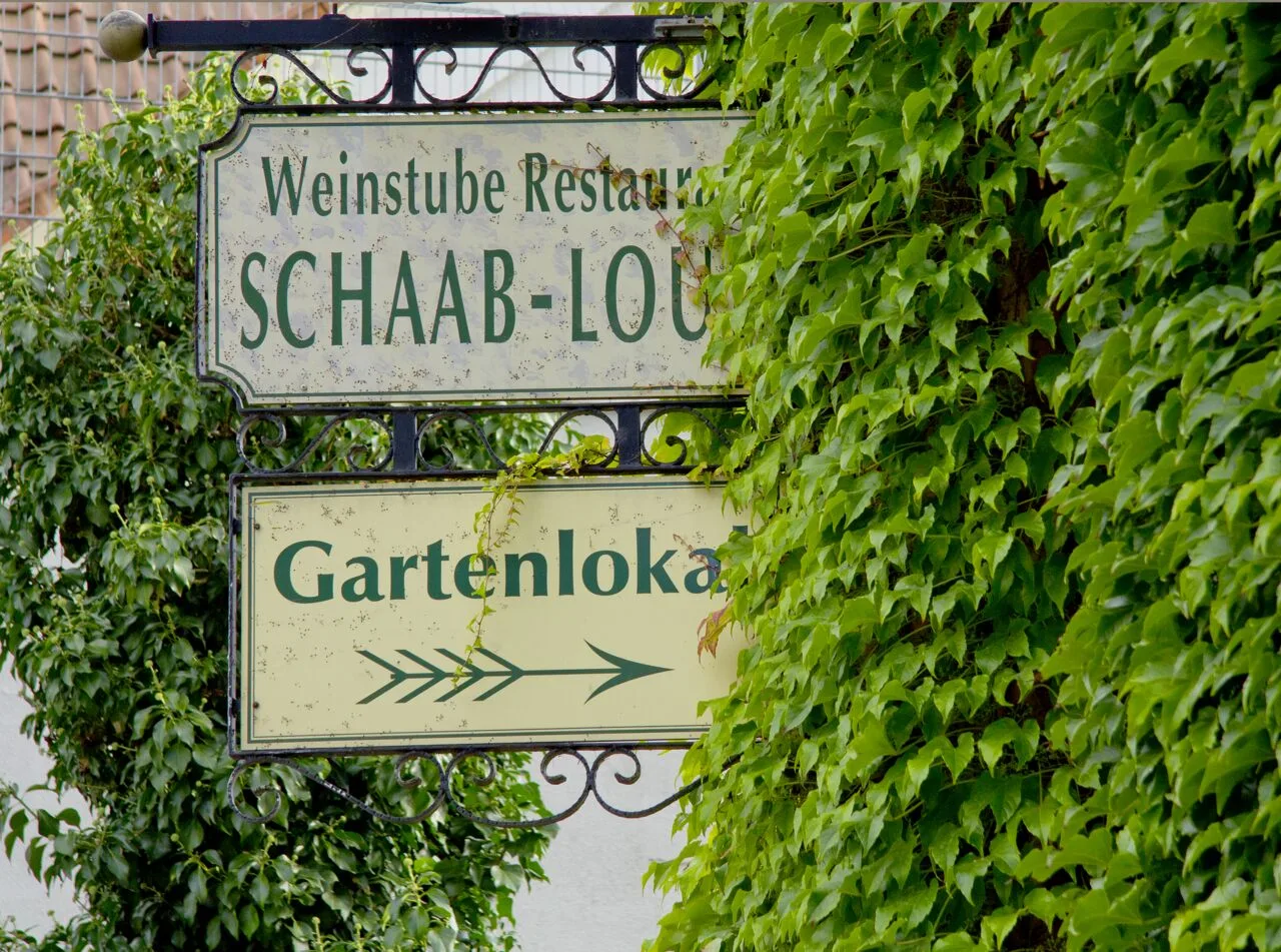 Weinhaus Schaab Louis — photo 16