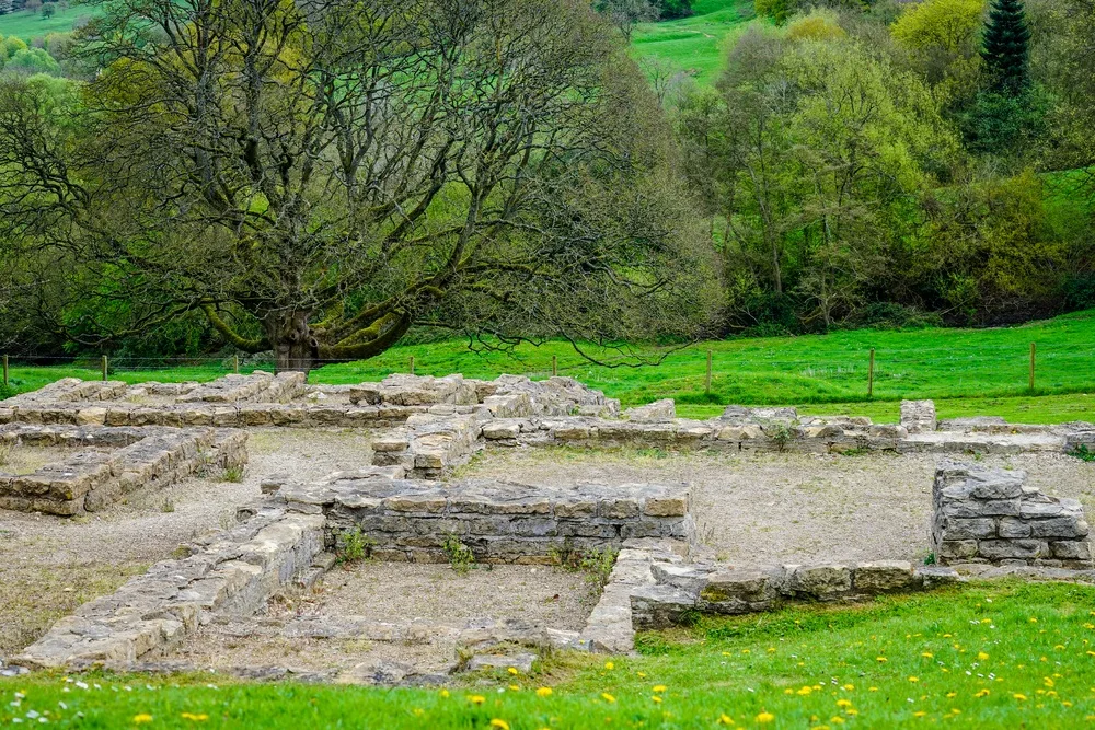 Vines Brasserie — photo 30