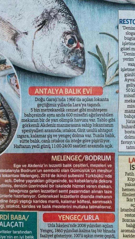 Antalya Balıkevi — photo 13