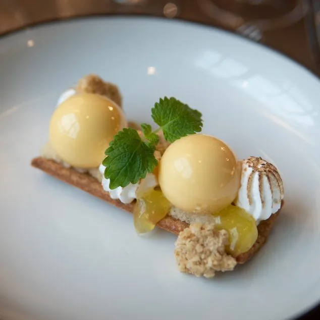 Terreno Kitchen — food