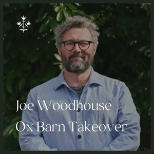 The Ox Barn — photo 13