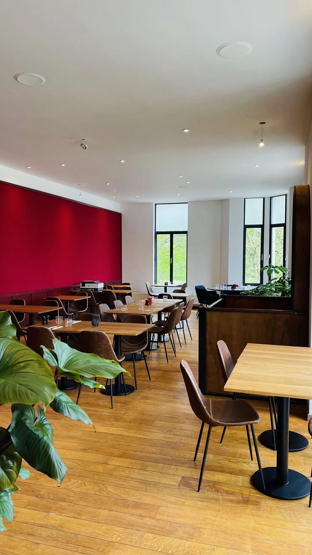 Brasserie Bowie — photo 13