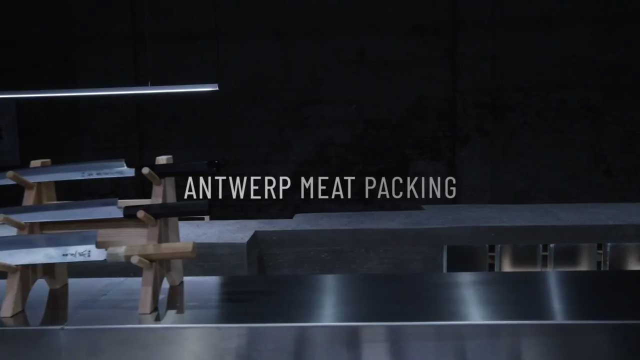 Dojo — photo 23