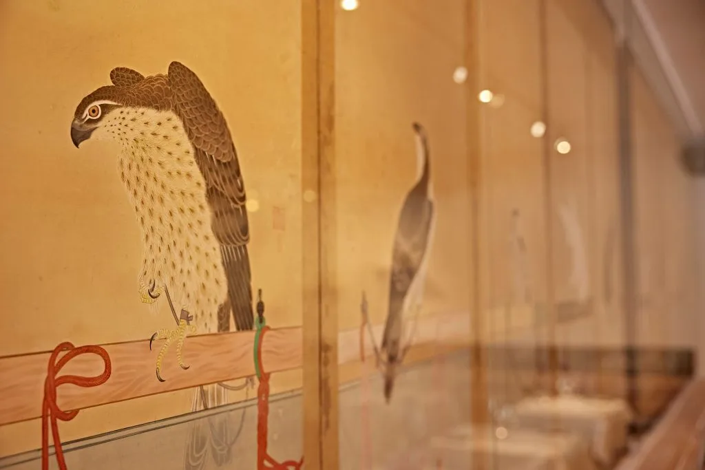 STRAUCHS FALCO — photo 15