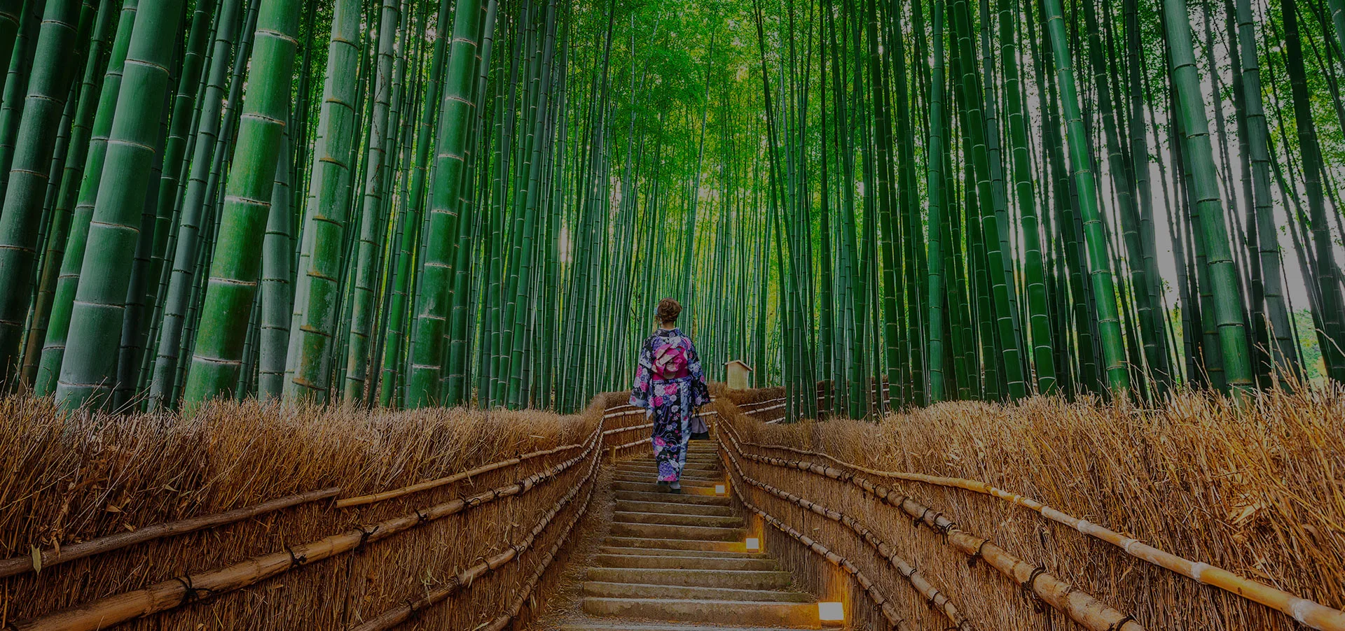 Hashimoto — photo 15
