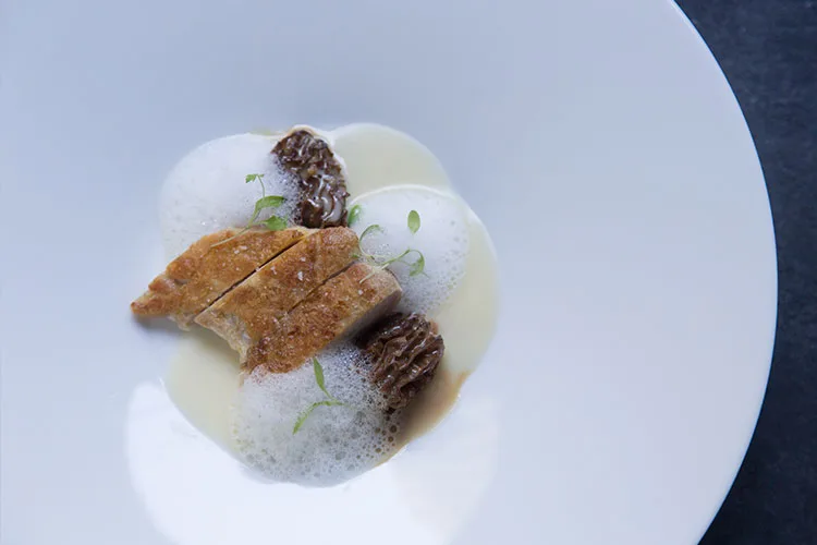 MOTOÏ — food
