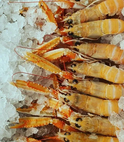 Saveur — photo 15
