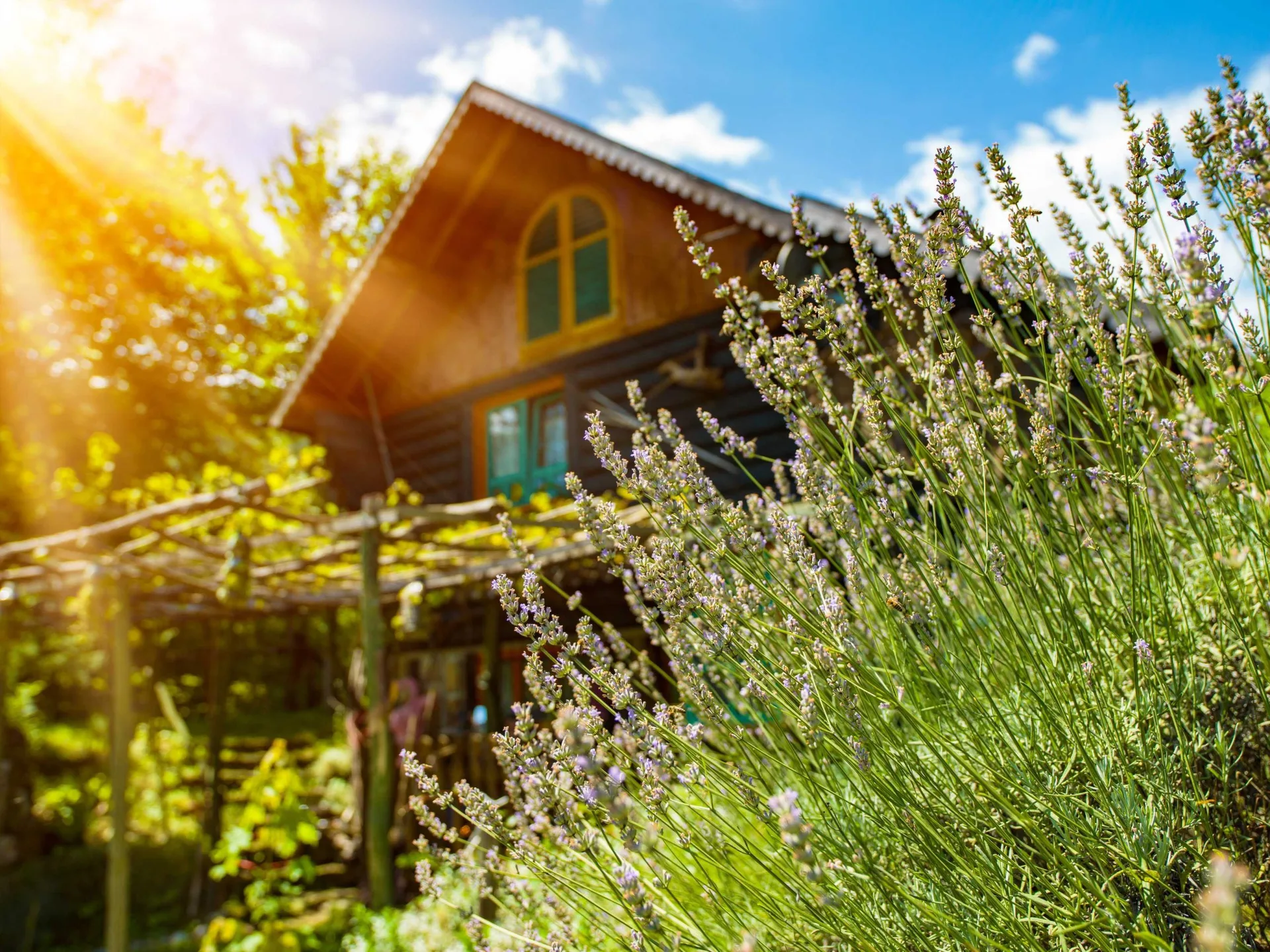 Restaurant Hoftaferne — photo 47