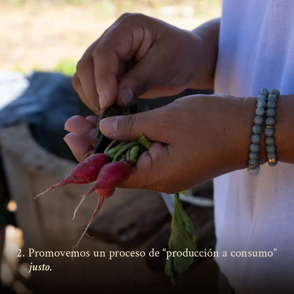 Tierra del Sol — photo 5