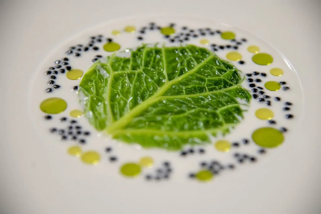 Duo Ristorante — photo 14