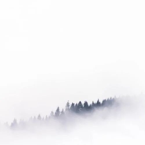 Restaurant Linde, Münstertal/Schwarzwald