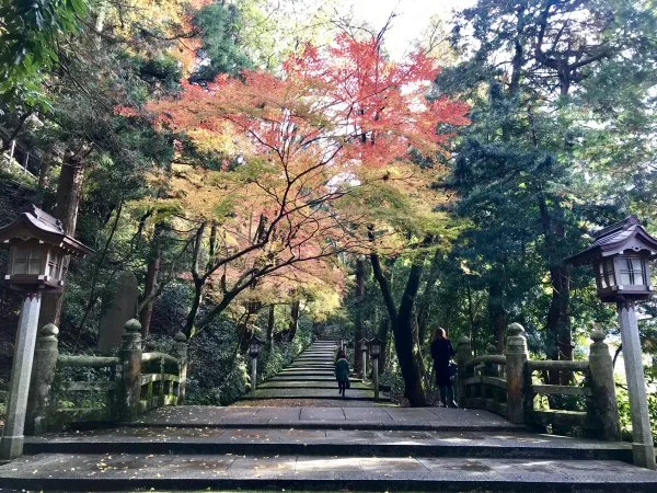 WATAYA — photo 90