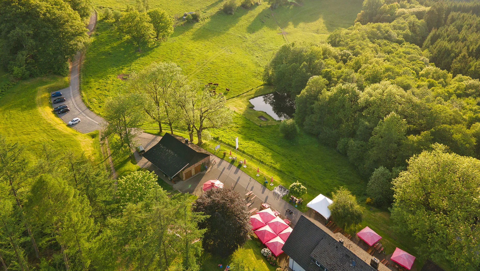Landgasthof Café Gut Ahe — photo 16