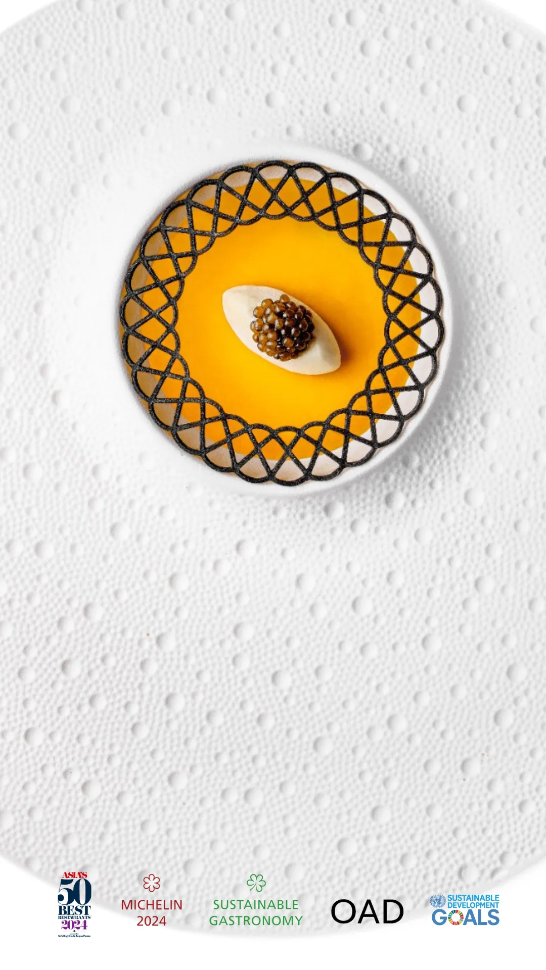 Haoma — photo 19