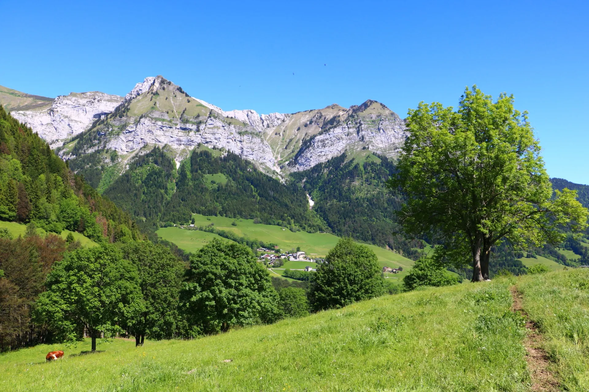L'Auberge de Montmin — photo 44