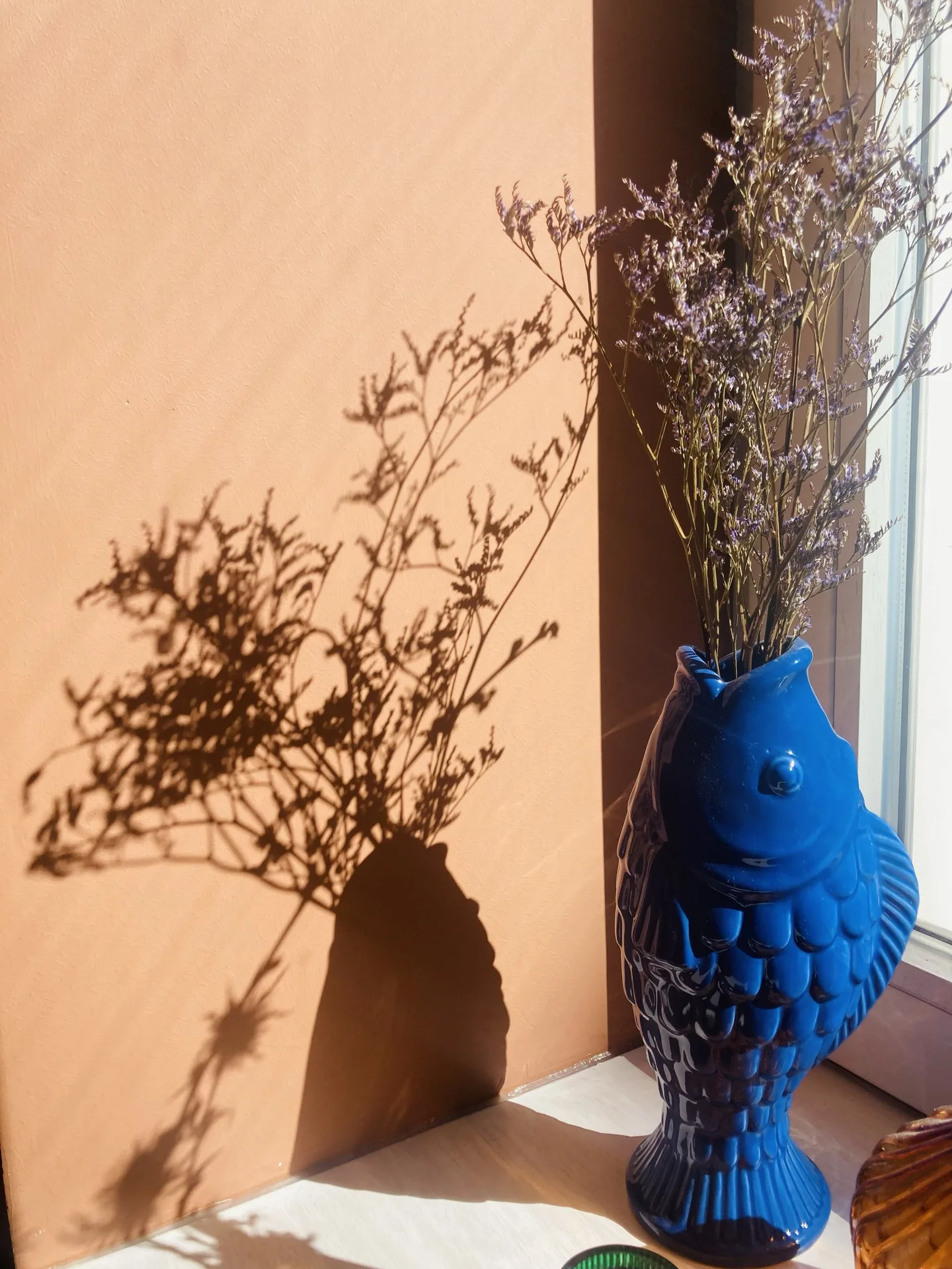 Amaro — photo 28