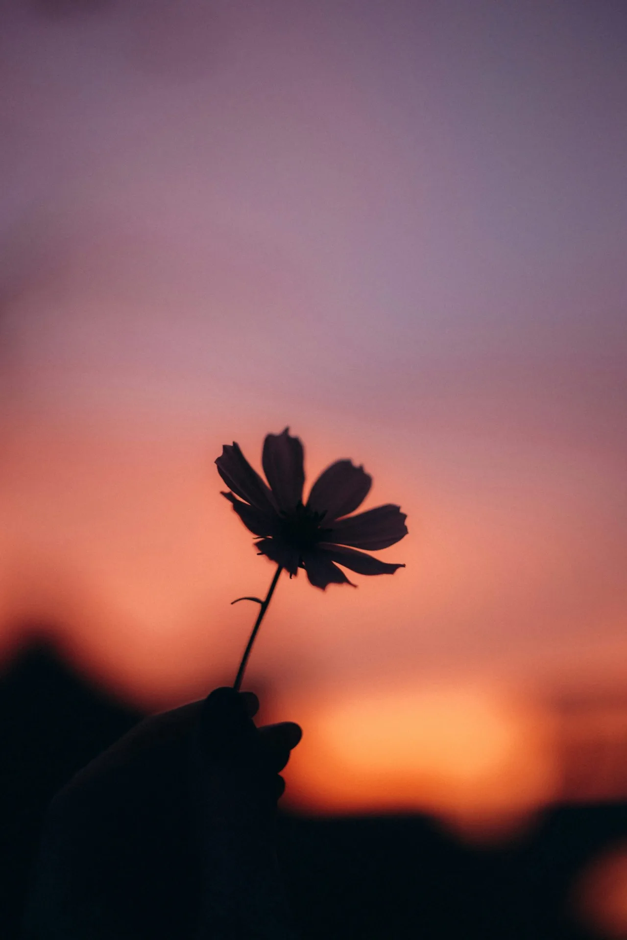 flora. — photo 32