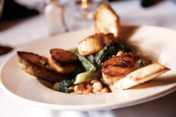 Marcello's Ristorante Italiano, Sarasota