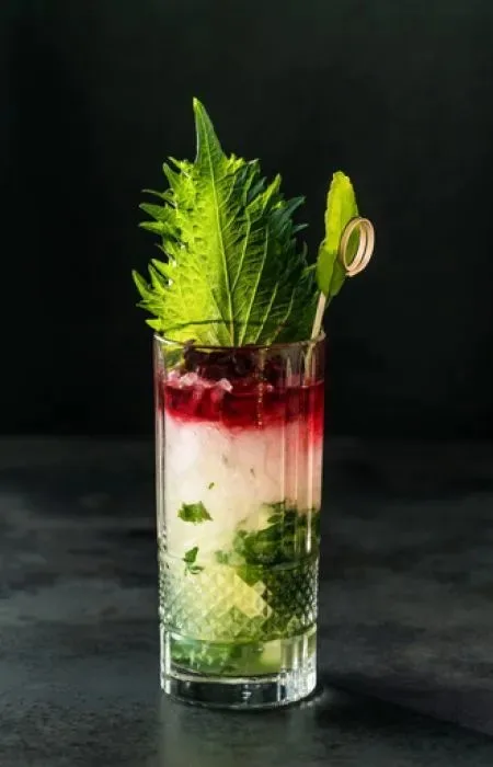 QOMO Restaurant &amp; Bar — food