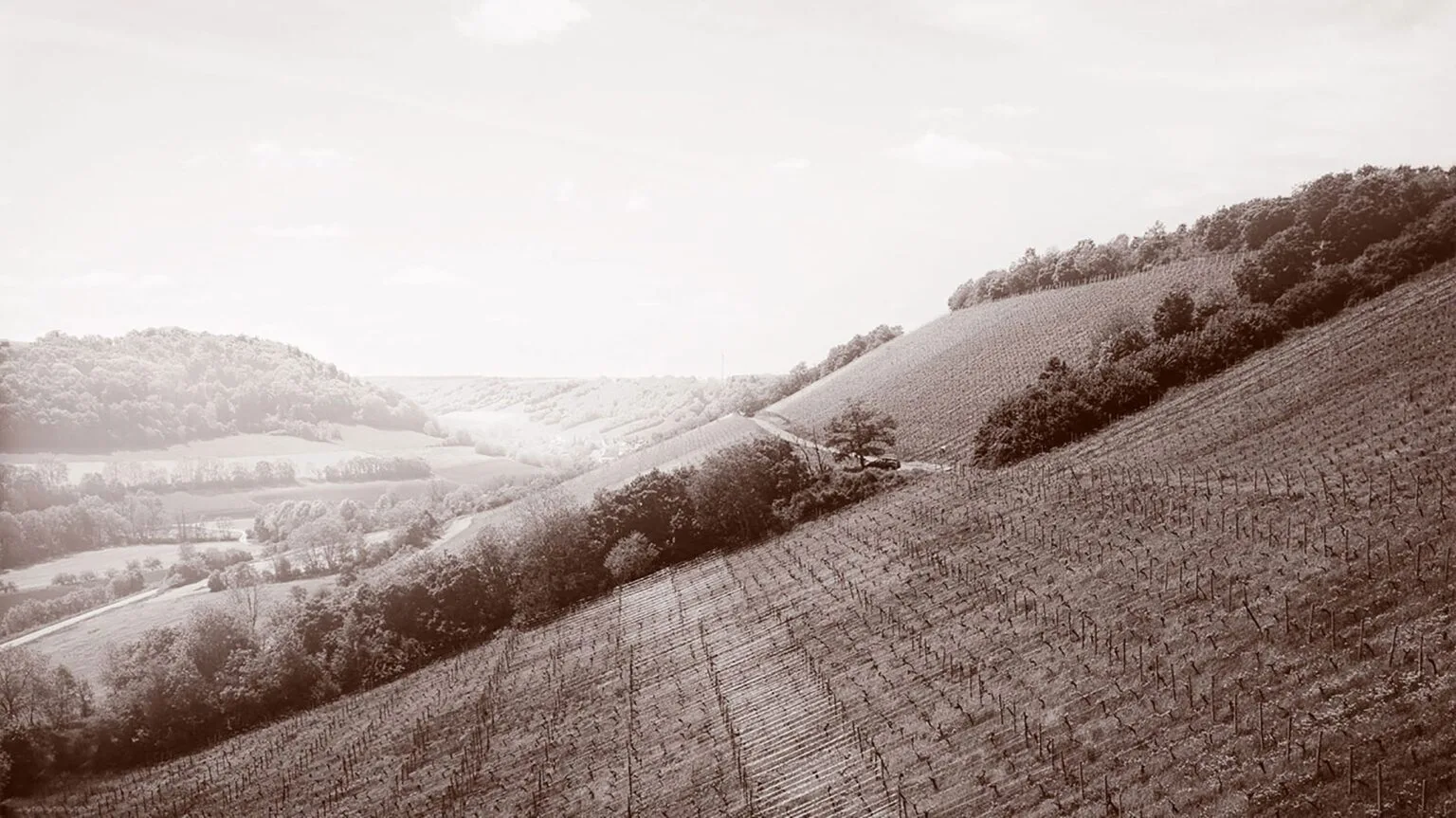 Winzerhof Stahl — photo 19