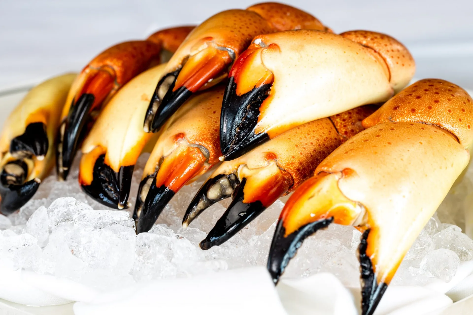 Truluck's — photo 43