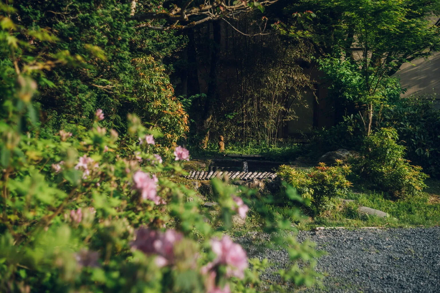 Miyama Sou — photo 19