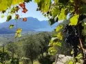 Agritur Calvola — photo 61